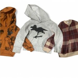 Toddler Skateboarding Dinosaur, Mickey and Plaid Hoodie Set